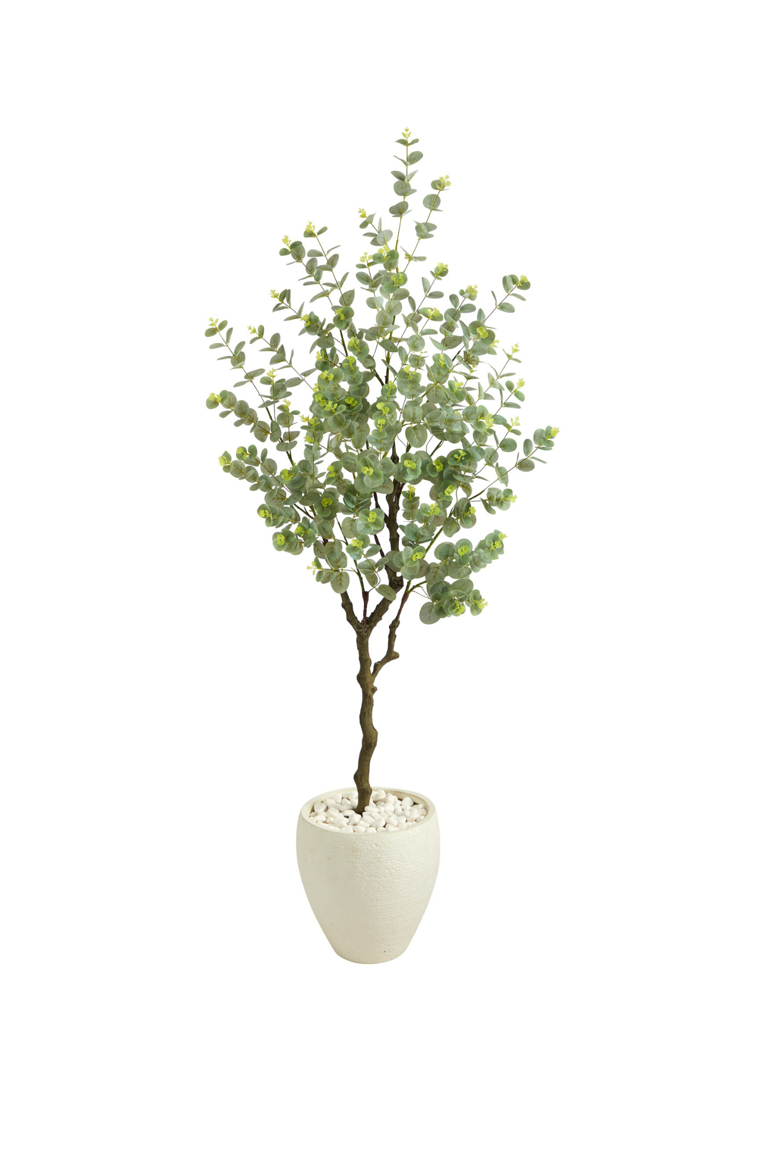 3_a2f747bf-2914-468a-989e-a0a004ed576f.png 63" Eucalyptus Artificial Tree In White Planter - Image 1