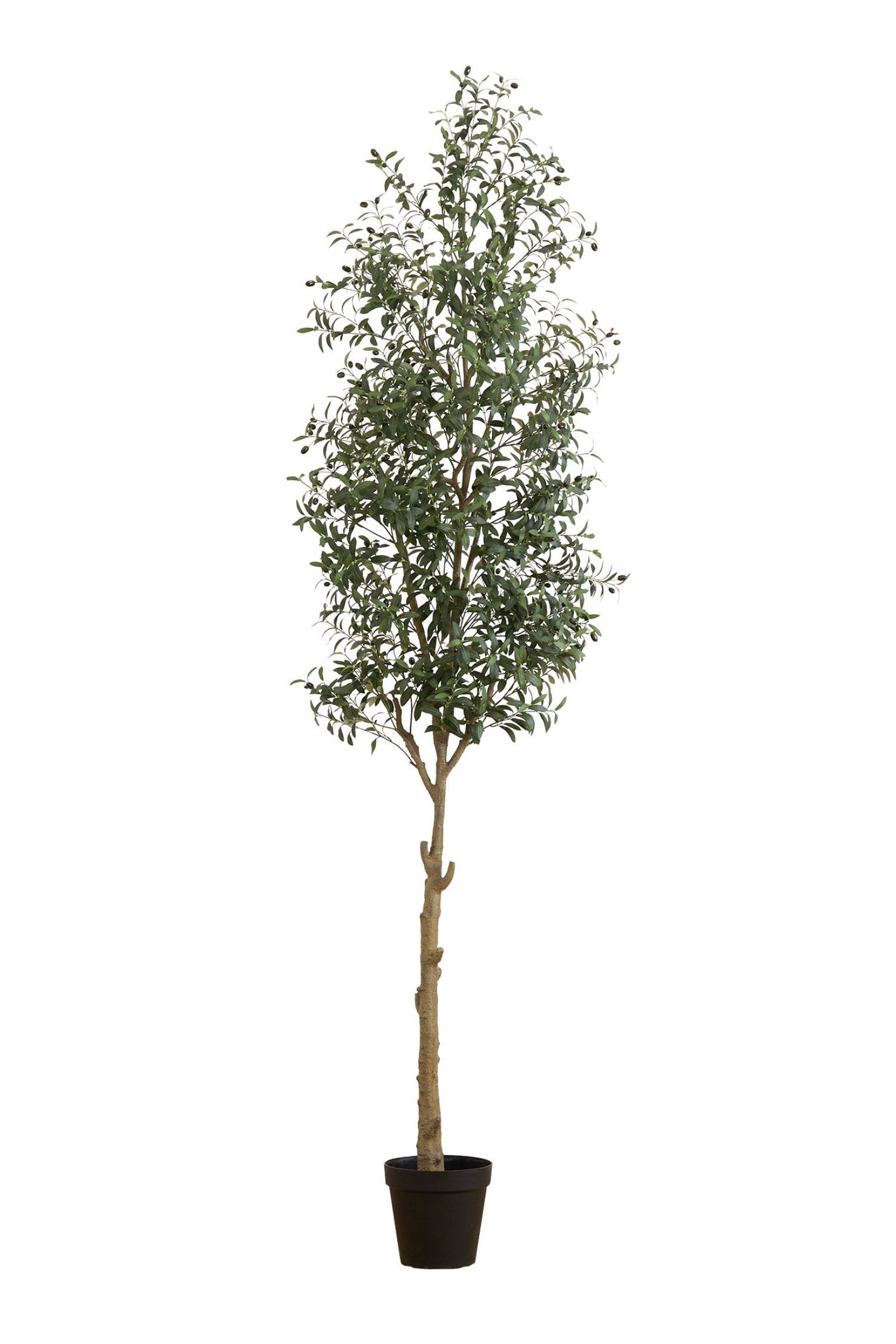 4_46566f0b-3b28-4fde-8ecf-3bdca2127d32.png 10' Artificial Olive Tree - Image 1