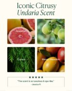 Undaria Algae Body Oil - Image 6
