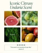 Undaria Algae Body Oil - Image 6