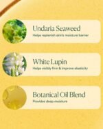 Undaria Algae Body Oil - Image 7
