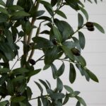 6' Artificial Olive Tree - Image 3